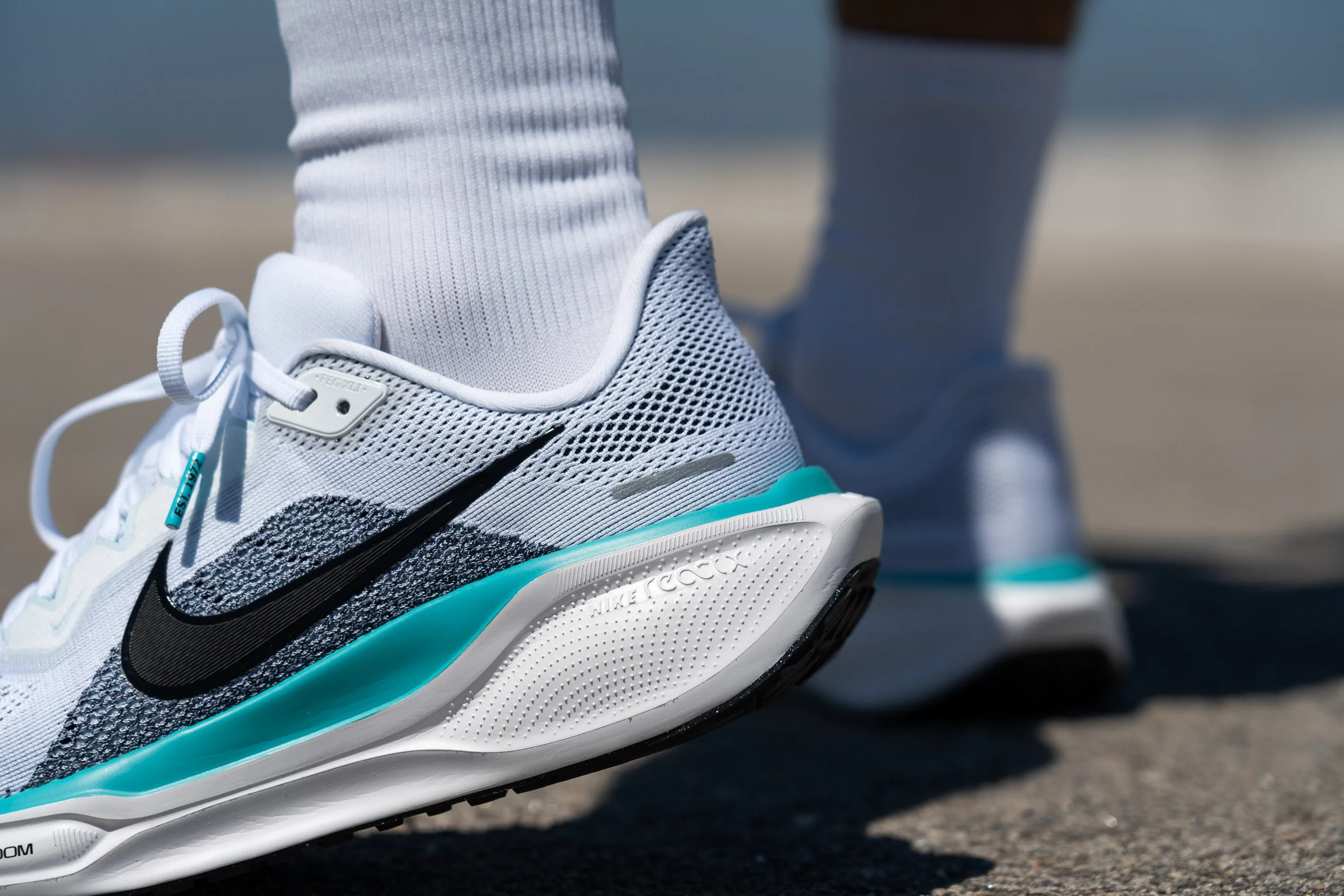 Nike Pegasus 41